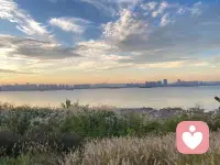 身在其中沒(méi)有發(fā)現(xiàn)它的沒(méi)，好像從未停歇好好欣賞過(guò)配圖