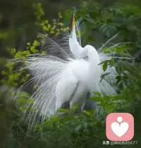 夜深人靜的你，此刻在做什么，想什么呢配圖