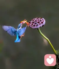 馬上就入冬了呢，天氣很涼，你的心里會暖暖的嗎？如果你有困擾，可以向我傾訴，我會溫暖的陪伴配圖