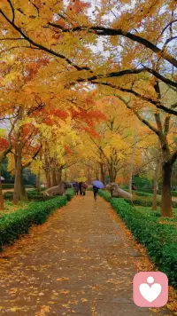 最美600米路配圖