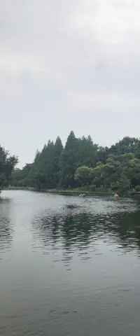 忍字是心上一把刀，面對事情的時候你是選擇如何面對的呢？是一直忍受到忍無可忍，無需再忍，還是無法忍受一點的不如意呢？其實對于心說，都是受傷了配圖