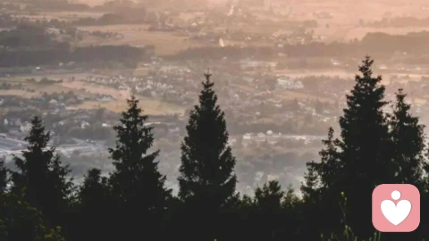 双方潜意识的共舞：精神分析视角下的交往关系