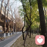 这个世界就是多样的，每个个体都不容易，每个人都值得尊重。