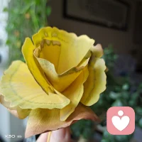 這個世界很現實，只有當你優秀的時候，你的愛才有價值，你的付出才不會被忽視。配圖