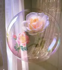 人生是一場盛大的遇見，如果擁有請珍惜，如果愛請深愛，因?yàn)橐惠呑硬婚L，下半輩子不一定能遇見。愛因?yàn)橄嘀嘞В橐驗(yàn)槎枚酰副舜耸刈o(hù)，今生無憾。配圖