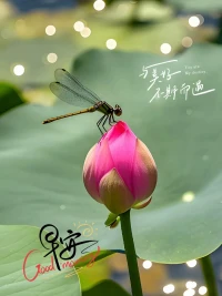 认知比勤奋重要，趋势比努力重要
​方向比方法重要，看清趋势，
​找到方向比盲目努力更重要
​
​朝着正确的方向持续努力
​行动的速度就是成功的速度