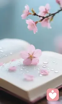 不必把太多人请进生命里，
若他们走进不了你内心，
就只会把你生命搅扰得拥挤不堪。