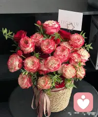 生命里的每一次相遇，
每一段经历，无论好坏，都是时光的礼物。

那些吃过的苦，会成为你的铠甲；
那些遇见的人，会教会你成长；
那些走过的路，会成为你前行的力量。

万般经历，皆为成全，
感恩所有遇见，珍惜所有经历。