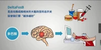 認知偏差是人們在知覺自身、他人或外部環境時，常因自身或情境的原因使得知覺結果出現失真的現象。典型表現有顯著性偏差、生動性偏差等。社會知覺中常見的刻板印象、暈輪效應等均為某種形式的知覺偏差。是個人知覺具有選擇性的特征所致。配圖