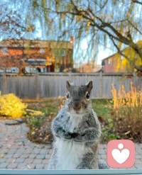 不卑不亢，不浮不躁……一切都是最好的安排配圖