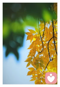 有能傾吐心聲，聆聽並溝通日常生活困惑、感悟的人，心裡會舒服很多……情緒得到疏解有益身心配圖