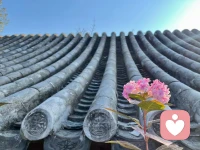 哪怕在封控中也要找到自己喜歡的事去做。聊天傾訴，學習閱讀，做飯喝茶，聽歌追劇，看球……生活需要規律和充實配圖