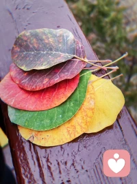 大自然是最棒的調色師……一切都在周而復始，井然有序，不緊不慢的更迭中漸變配图