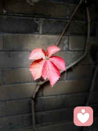 被壓製的久了，會生出失望、無奈、憤怒…各種情緒，都需要宣洩的出口。逆來順受沒用，該聲明溝通的表達清楚，適當反抗才能不被要挾拿捏……配图