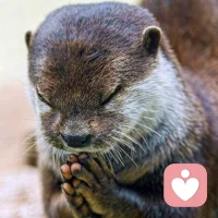 居家期間如何處理好親子關係：1，放低標準，開放一些規則給孩子更大餘地；2，保留空間，不必一直監督孩子一舉一動，懂得適當退出，孩子才能感覺輕鬆；3，多當聽眾，少當專家，多傾聽孩子內心想法；4，快樂互動，除了學習，多安排促進親子關係的活動和話題配图