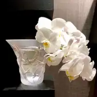 一個柔和的開場很重要……配圖