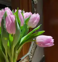 女人如花花似夢配圖