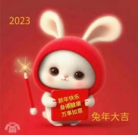 兔年吉祥，萬事如意，心想事成，安康幸福配圖