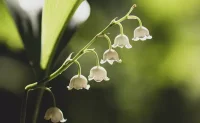 談到婚姻感情，面對找自己更愛還是更愛自己的兩種選擇時(shí)，很多人最後妥協(xié)了後者……但我認(rèn)為女人要找至少一定要找一個(gè)自己十分喜歡的人，只有十分欣賞的人，你才會(huì)對他的不完美多一份包容，愿意為了兩人之間的關(guān)系更融洽更和諧做自我調(diào)整。真正的愛不是強(qiáng)求對方為你改變，而是雙方為了讓彼此更好地感受到相互的愛，愿意去自我調(diào)整、磨合。所以說雙向奔赴的感情最可貴！兩情相悅不容易，要珍惜！如果沒有遇到特別喜歡，願(yuàn)意為之付出的那個(gè)寧缺毋濫，活出一個(gè)人的精彩也很好，至少?zèng)]有心不甘情不願(yuàn)的負(fù)累。你們認(rèn)為呢？配圖