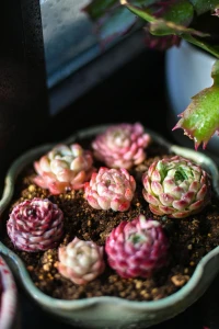 一個(gè)短暫的瞬間也擁有豐腴的過去。這豐腴不止在於故事，還有背后澎湃的感知配圖