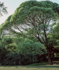 一個人自己拒絕改變想法做法，那將永遠陷在過去無法成長……
人要懂得接受現實，做出努力，才能讓自己茁壯配圖