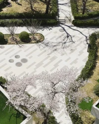 出門去感受陽光明媚……
遠離垃圾人，丟掉負能量，保持正念，無愧於心，哪裡都可以找到支持者和同路人:) 人間自有真情在！配圖