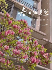 春天花會開……
賞錦鯉，交好運
珍惜每天的小確幸配圖