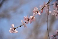 看論壇帖子……雖然也有渾身散發負能量，反復抱怨死不悔改的；但也有很多正能量，即便也會懟人，但看的出三觀很正，積極回復，願意熱心幫助別人出主意的朋友……誠如這社會魚龍混雜，但用心觀察，多看正向的好的那面，會發現更多溫暖……凡事多尋求解決辦法，而不是總挑別人毛病，會感覺生活美好一些:)配圖