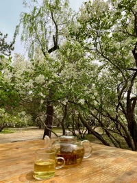 丁香樹下丁香茶……
品茗生活的滋味配圖