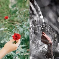 | 箴言 22:6 | 
教養(yǎng)孩童，使他走當(dāng)行的道，就是到老 他也不偏離。配圖