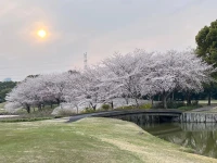 生活中，這樣的人，才值得深交。

1.凡事有交代，事事有回音
2.出言有尺度，嬉鬧有分寸
3.在上不傲人，在下不卑人配圖