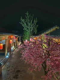 人生是魔鬼與天使的博弈。
德無道不顯，道無德不靈。
宗教派別引人向善的本質不衝突，
修心修現世配图