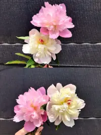 心外無物，境隨心轉(zhuǎn)，相信美好，就會遇見美好配圖
