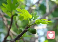 清晨感悟：人大方一點，才有朋友。舍得錢財和吃喝的人是真正的大方人，看一個人大不大方，從他請別人吃飯喝酒就可以看出來。小氣的人基本上不會請別人吃飯喝酒，即是偶爾的一次也斤斤計較小家子氣。男人和女人一樣，大方的人無論何時何地他都搶著買單或請客。小氣的人十年八年也難見到他大方一次。大方是一種性格和氣質，所有人都喜歡大方的人。喜歡和這些大方人交朋友，因為有好處呀，跟他們很快活能放的開。你的大方和付出總有一天會得到別人的肯定和幫助，這就是常說的，有舍才有得。看開人情世故和錢財來去，大大方方做一個人，生活和社會是不會虧待大方人的。最終你會得到的是你付出的十倍或百倍，相信我，大方絕對沒有錯。緣來緣去人生幾何，都是人生過客，看破紅塵，不如看清自我。配圖