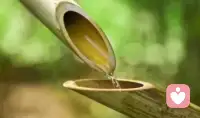 清晨感悟：人大方一點，才有朋友。舍得錢財和吃喝的人是真正的大方人，看一個人大不大方，從他請別人吃飯喝酒就可以看出來。小氣的人基本上不會請別人吃飯喝酒，即是偶爾的一次也斤斤計較小家子氣。男人和女人一樣，大方的人無論何時何地他都搶著買單或請客。小氣的人十年八年也難見到他大方一次。大方是一種性格和氣質，所有人都喜歡大方的人。喜歡和這些大方人交朋友，因為有好處呀，跟他們很快活能放的開。你的大方和付出總有一天會得到別人的肯定和幫助，這就是常說的，有舍才有得。看開人情世故和錢財來去，大大方方做一個人，生活和社會是不會虧待大方人的。最終你會得到的是你付出的十倍或百倍，相信我，大方絕對沒有錯。緣來緣去人生幾何，都是人生過客，看破紅塵，不如看清自我。配圖