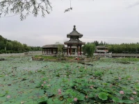 最美的風景，就是用快樂的心情，最美的眼睛，去欣賞去發現，去拍攝，所以說，風景不在于遠近，在于心境，心中有風景眼中才會有風景，閑游喇嘛甸公園！配圖