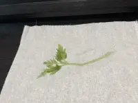 心理發生問題了很正常，沒人規定只允許身體生病，而不允許心里生病。既然生了病，就要看醫生??。
當然醫生水平也有高有低，所以不能偏信偏聽。
那怎么辦？接納當下的自己，允許自己有各種情緒，然后分辨情緒后哪些行為可以，哪些行為不可以。
因為情緒沒有對錯，而行為有！配圖
