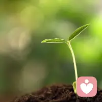 好的人生，是一個過程，而不是一個狀態；它是一個方向，而不是終點。——羅杰斯配圖