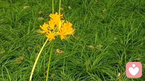 父母频繁吵架,对孩子的心理影响。