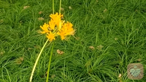 父母频繁吵架，对孩子的心理影响。