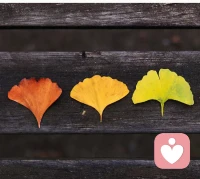 沒有比當事人自己更了解自己的情況，他們才是解決自己問題的專家！配圖