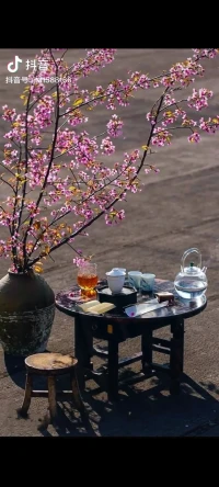 請(qǐng)尊重:容易產(chǎn)生阻抗的人、因?yàn)門a曾經(jīng)受過很多傷…配圖
