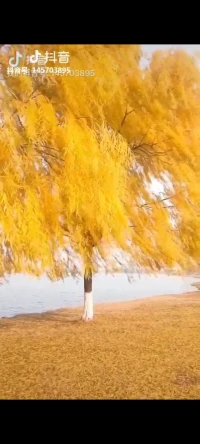 跟著感覺走…是一件危險的事情！因為它不能作為導航！反而會使人誤入歧途！配圖