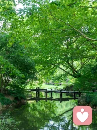 永遠不要指責一個你不了解的人太強勢，因為你根本不知道，在他孤立無援，需要保護時，他是面對的是怎樣的冷嘲熱諷，他只是咬著牙披上戰甲，迎難而上。未經他人苦，莫勸他人善，獨自走過逆境的人，一個人站在那里便是千軍萬馬。配圖