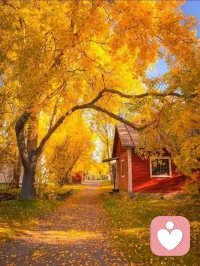 人活著，其實是一種心態。如果你感到快樂，幸福無處不在；如果你為自己哭泣，世界就會灰暗。配圖