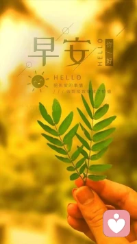 人生短暫，精力有限，我們的這一生能裝下的事情只有那么多。悲傷多了，快樂就少了。快樂少了，悲傷就多了。配圖