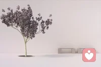 幸福的人擁有的五種心態(tài)：
1.平心靜氣，清風(fēng)自來；
2.不驕不躁，從容淡然；
3.堅(jiān)持不懈，方德始終；
4.心不計(jì)較，何來煩惱；
5.心存感恩，知足惜福！配圖