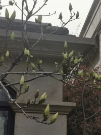 所有的夢(mèng)想都始于曾經(jīng)的那段迷茫，那段質(zhì)疑自己的日子那段不被人理解的日子，等你走過(guò)這條路，你會(huì)發(fā)現(xiàn)，那個(gè)時(shí)候的你不是生來(lái)彷徨，拍拍身上的灰塵，加油！愿你遇見美好的自己！配圖