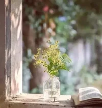 人生最難的自律，是從內不斷打破自己配圖