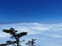 事來則應，事過不留。配圖